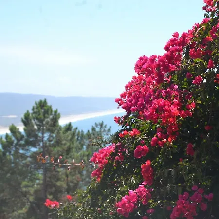 Encosta Do Sol Apartament Nazaré